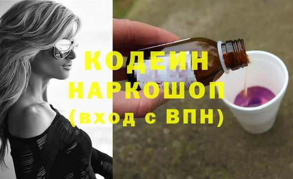 крисы Няндома