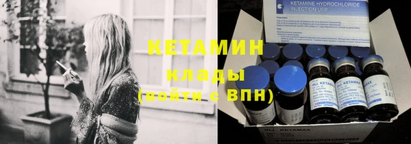 крисы Няндома