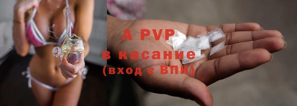 крисы Няндома