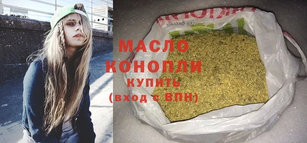 крисы Няндома