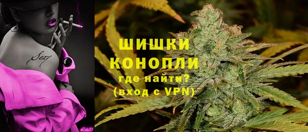 крисы Няндома