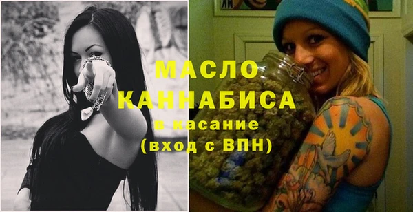 крисы Няндома