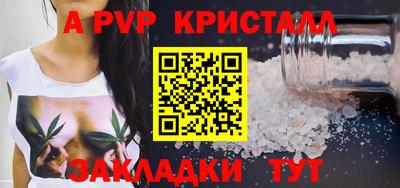 ешки Кингисепп
