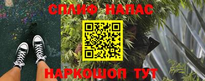 PSILOCYBIN Гусев