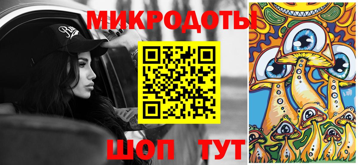 Кингисепп  Галлюциногенные грибы мухоморы  Вход с VPN 
