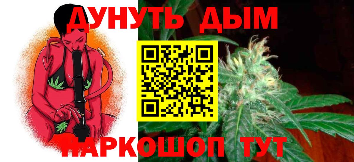 Марихуана планчик  Каннабис White Widow  Кингисепп 