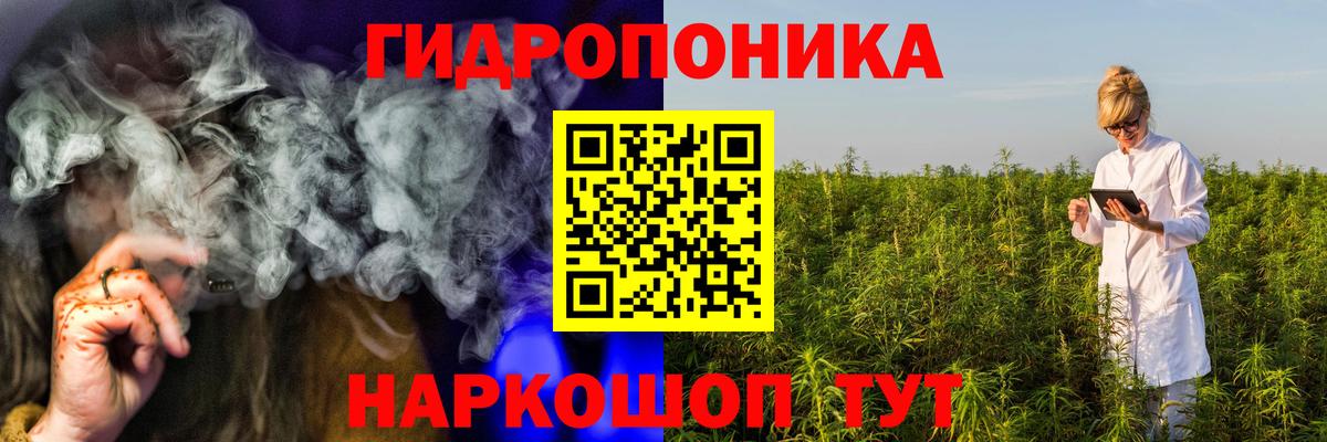 Шишки марихуана сатива Кингисепп